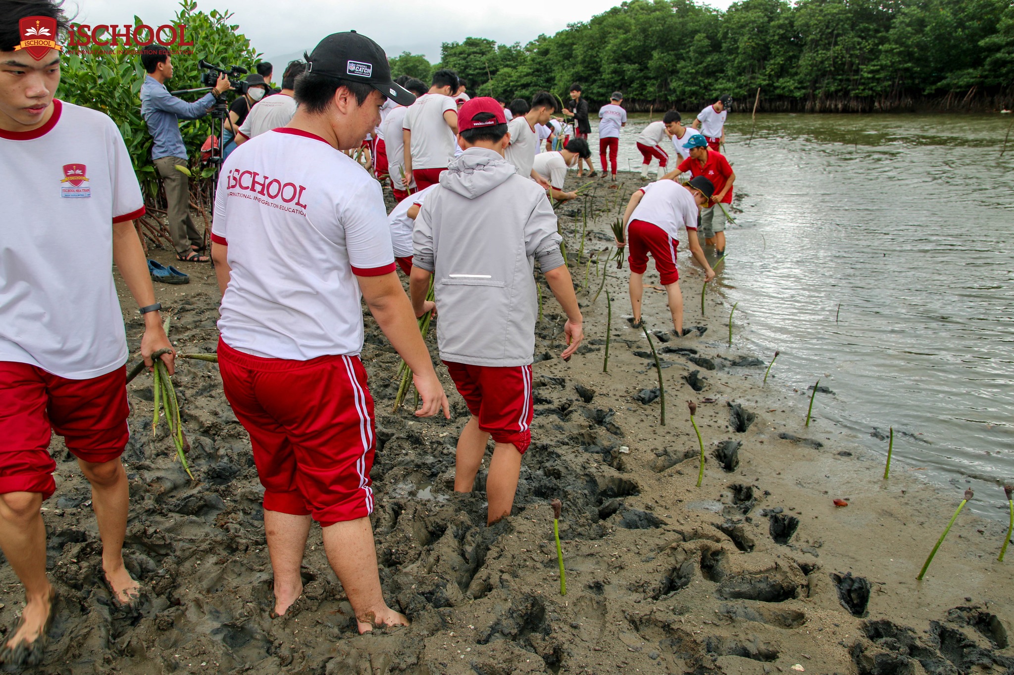 Thầy trò Trường iSchool Nha Trang tham gia trồng rừng ngập mặn tại xã Ninh Ích, thị xã Ninh Hòa.