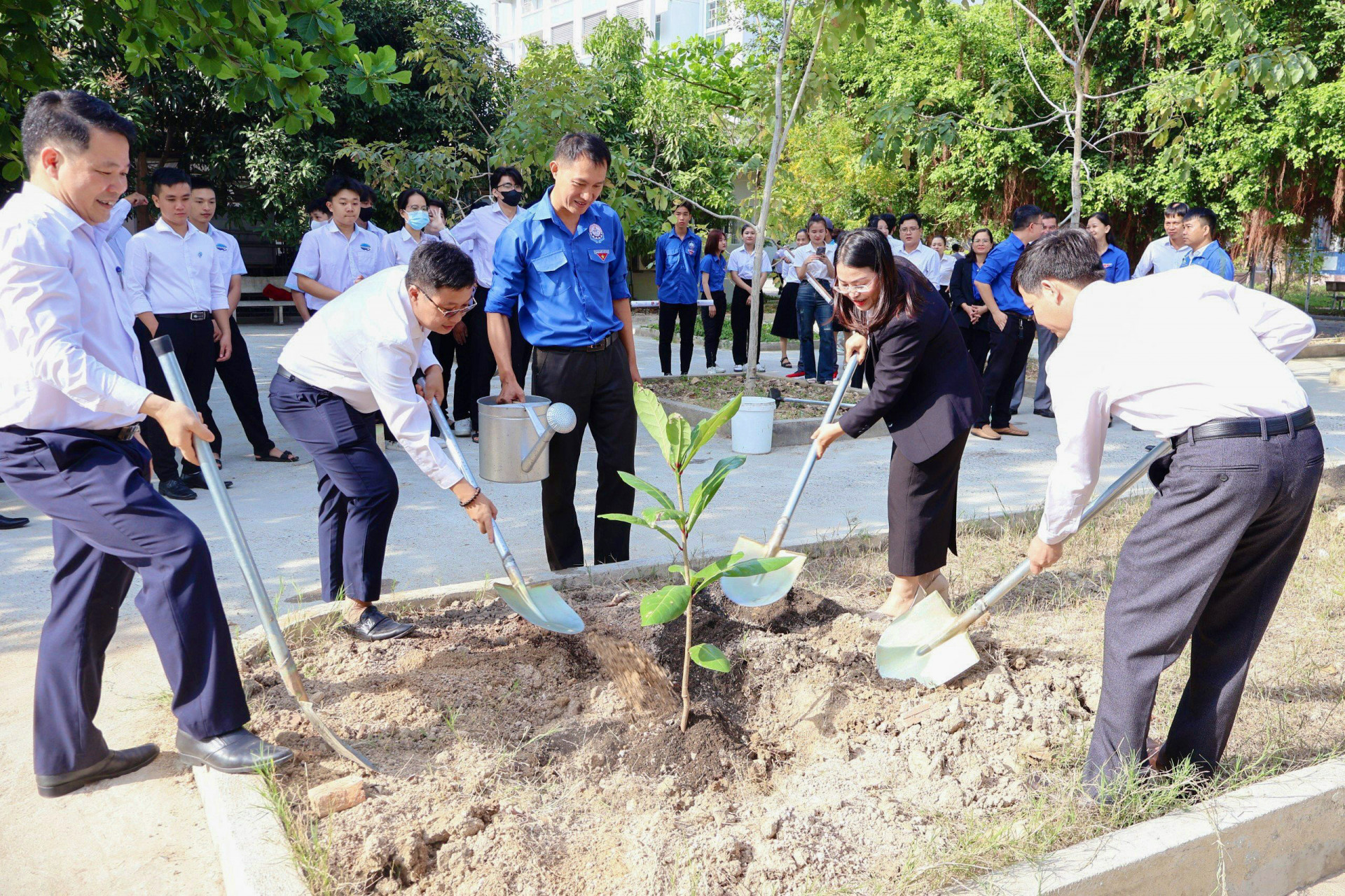 Hội Sinh viên Việt Nam tỉnh tổ chức trồng cây bàng vuông tại Trường Cao đẳng Du lịch Nha Trang.