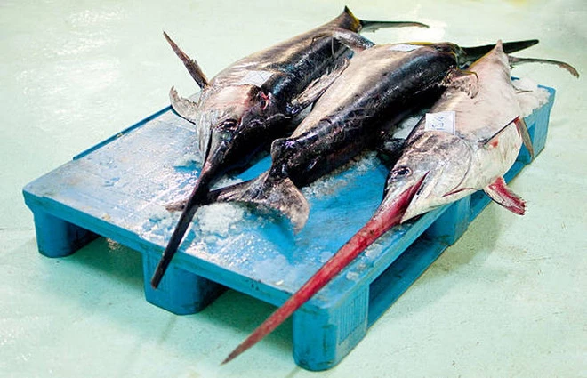 (Ảnh: Getty images)