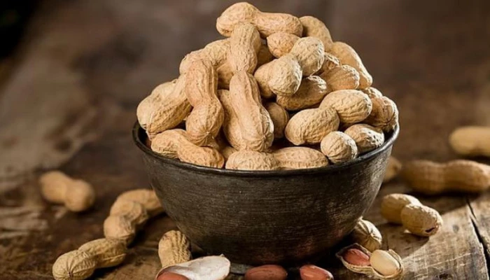 Ăn lạc không đúng cách cũng có thể nguy hiểm đến tính mạng?