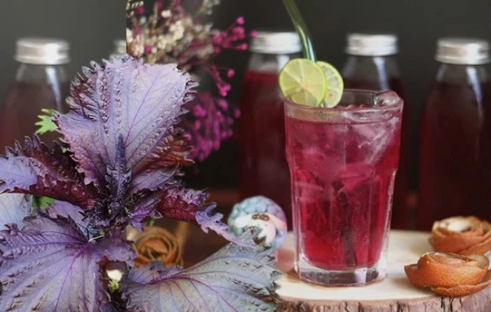 Uống nước lá tía tô pha chanh đúng cách, cơ thể nhẹ nhõm, đẹp da