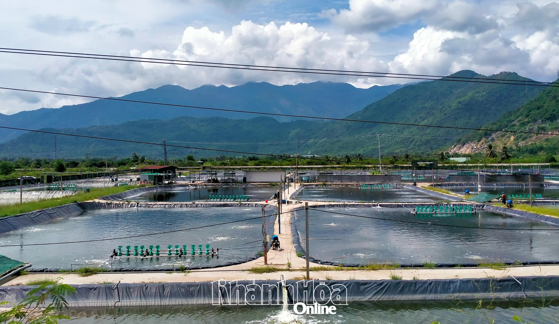 Một khu vực nuôi tôm ở xã Nam Ninh Hòa.