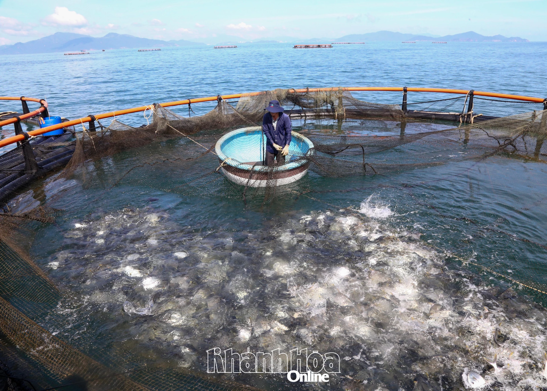 High-tech marine aquaculture: Effectiveness from pilot models