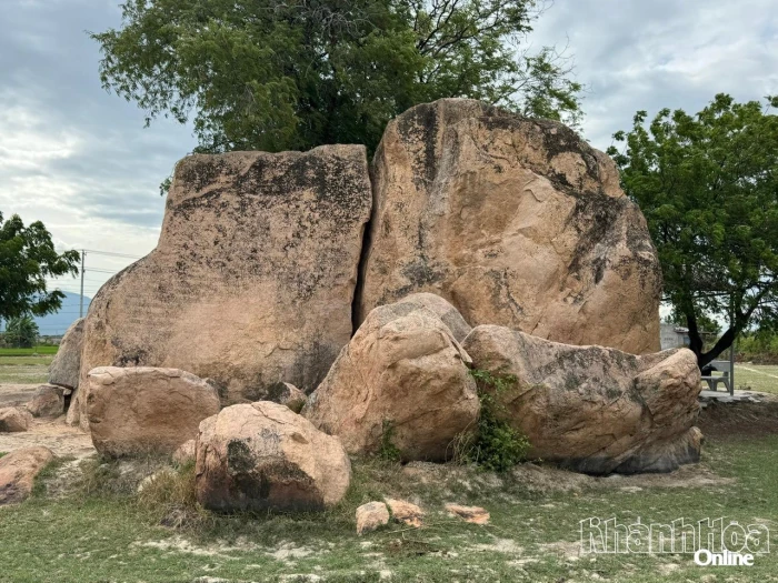 Tấm bia chữ Chăm cổ khổng lồ giữa cánh đồng Ninh Phước