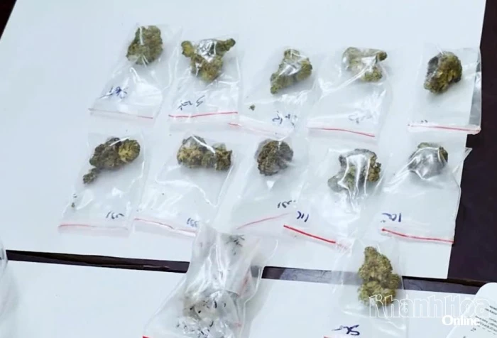 Bắt quả tang 4 đối tượng người nước ngoài tàng trữ, mua bán trái phép chất ma túy