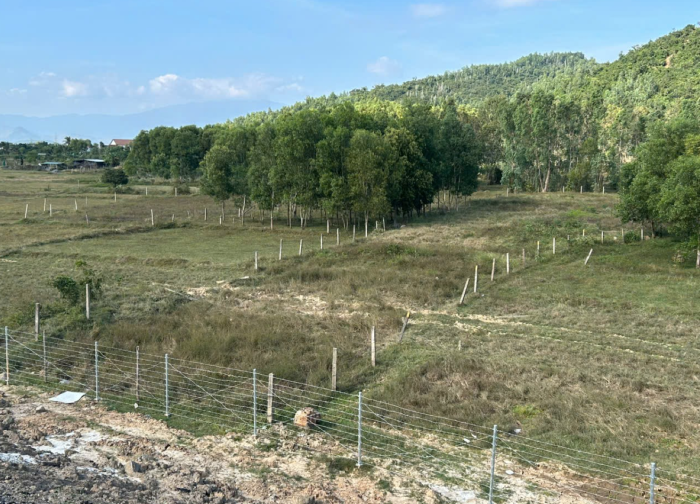 Kiến nghị mở đường gom dân sinh dọc đường bộ cao tốc vào các thửa đất nông nghiệp ở phường Ninh Hòa: Không có cơ sở giải quyết