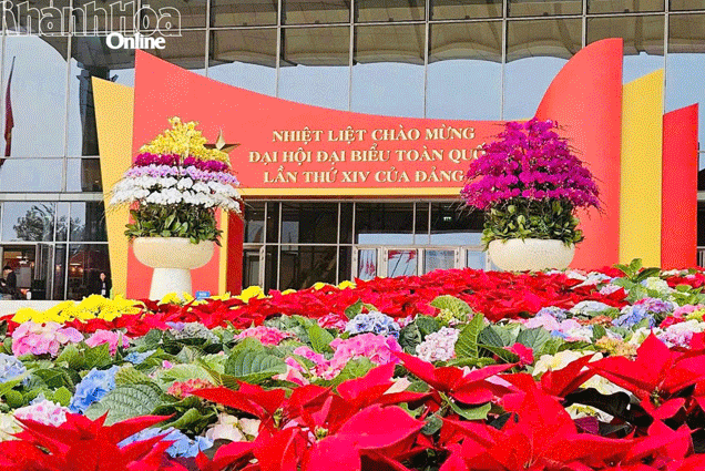 Podcast: Bản tin ngày 19-1