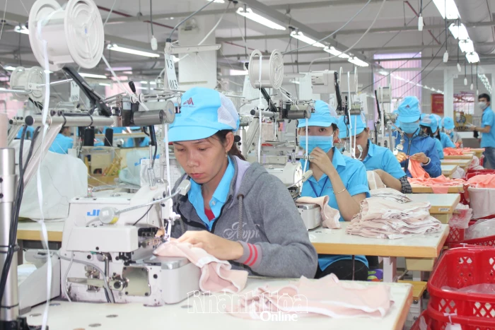 Triển khai đăng ký lao động và quản lý thông tin thị trường lao động