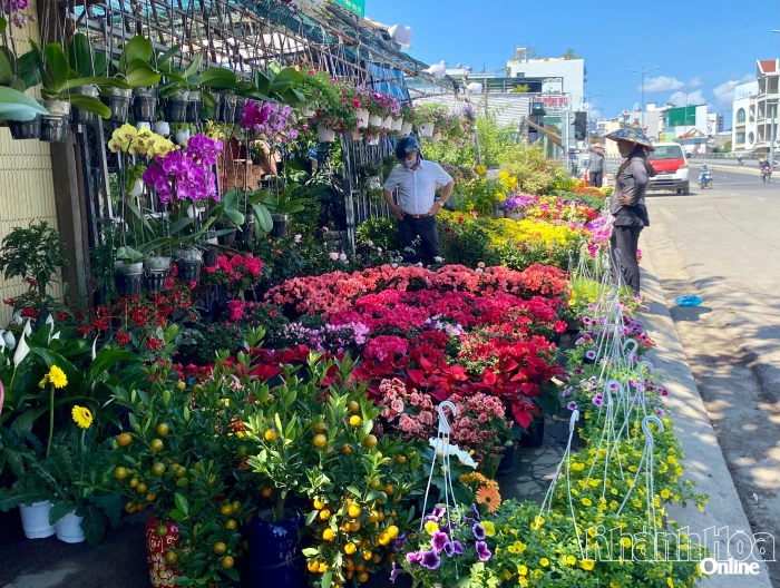 Cho phép sử dụng tạm thời một số khu vực công cộng để buôn bán hoa, cây cảnh dịp Tết