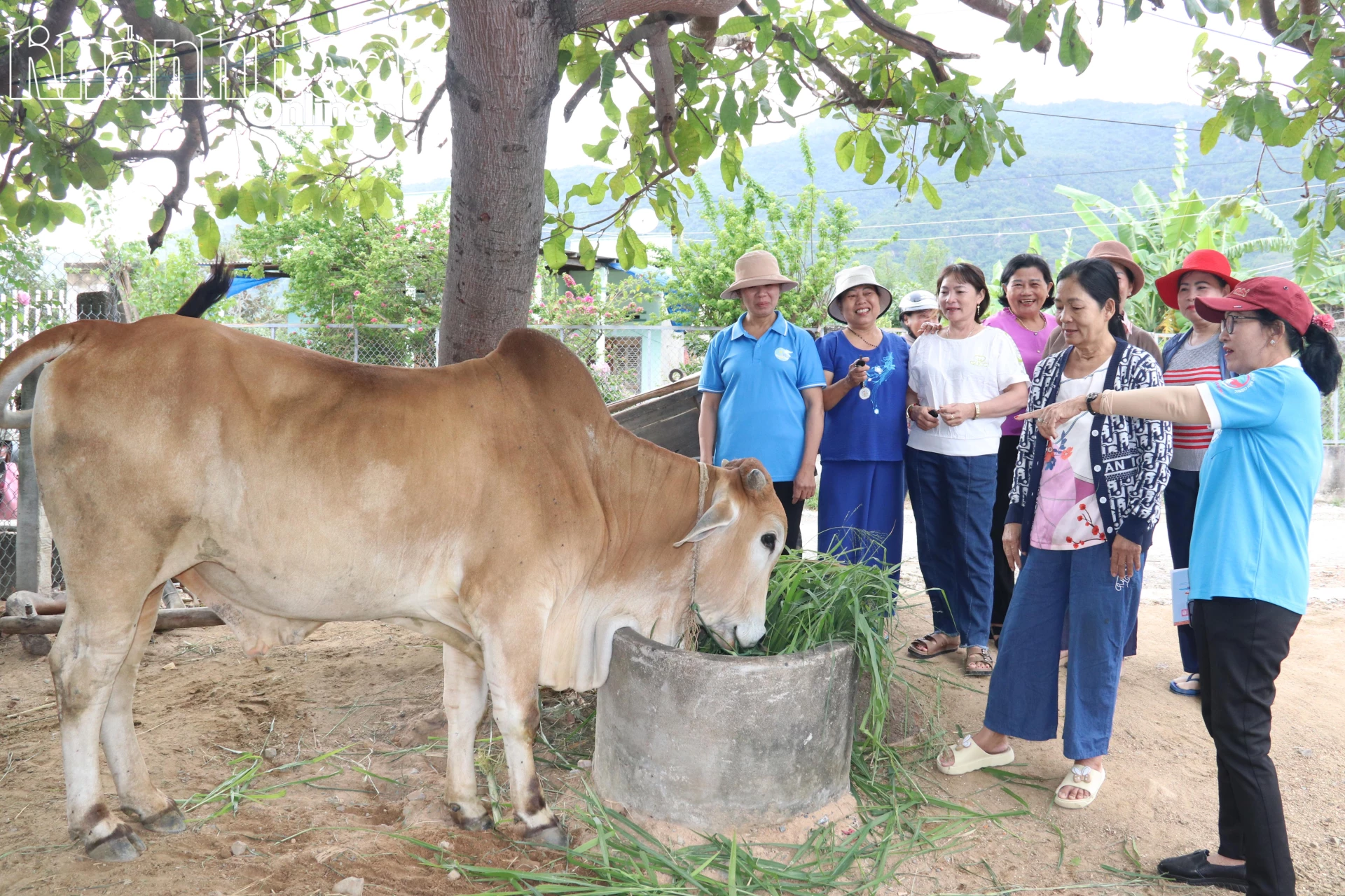 Đại diện chi hội hỏi thăm tình hình phát triển kinh tế của hội viên sau khi được hỗ trợ phương tiện sinh kế từ cấp trên.