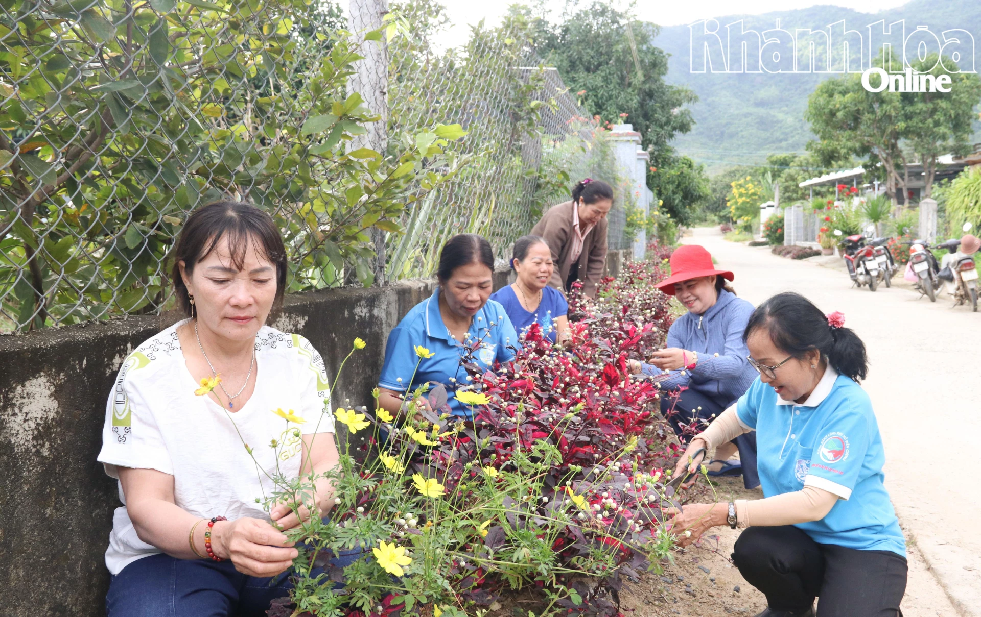 Phụ nữ thôn Tân An chăm sóc tuyến đường hoa.