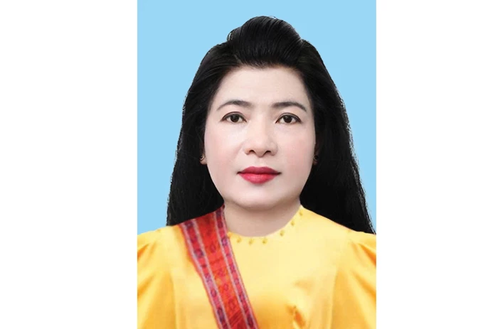 Đồng chí Đàng Thị Mỹ Hương - Tỉnh ủy viên, Phó Trưởng đoàn chuyên trách Đoàn Đại biểu Quốc hội tỉnh: Tin tưởng đại hội sẽ đề ra những giải pháp đột phá, phát huy hiệu quả mọi nguồn lực cho phát triển