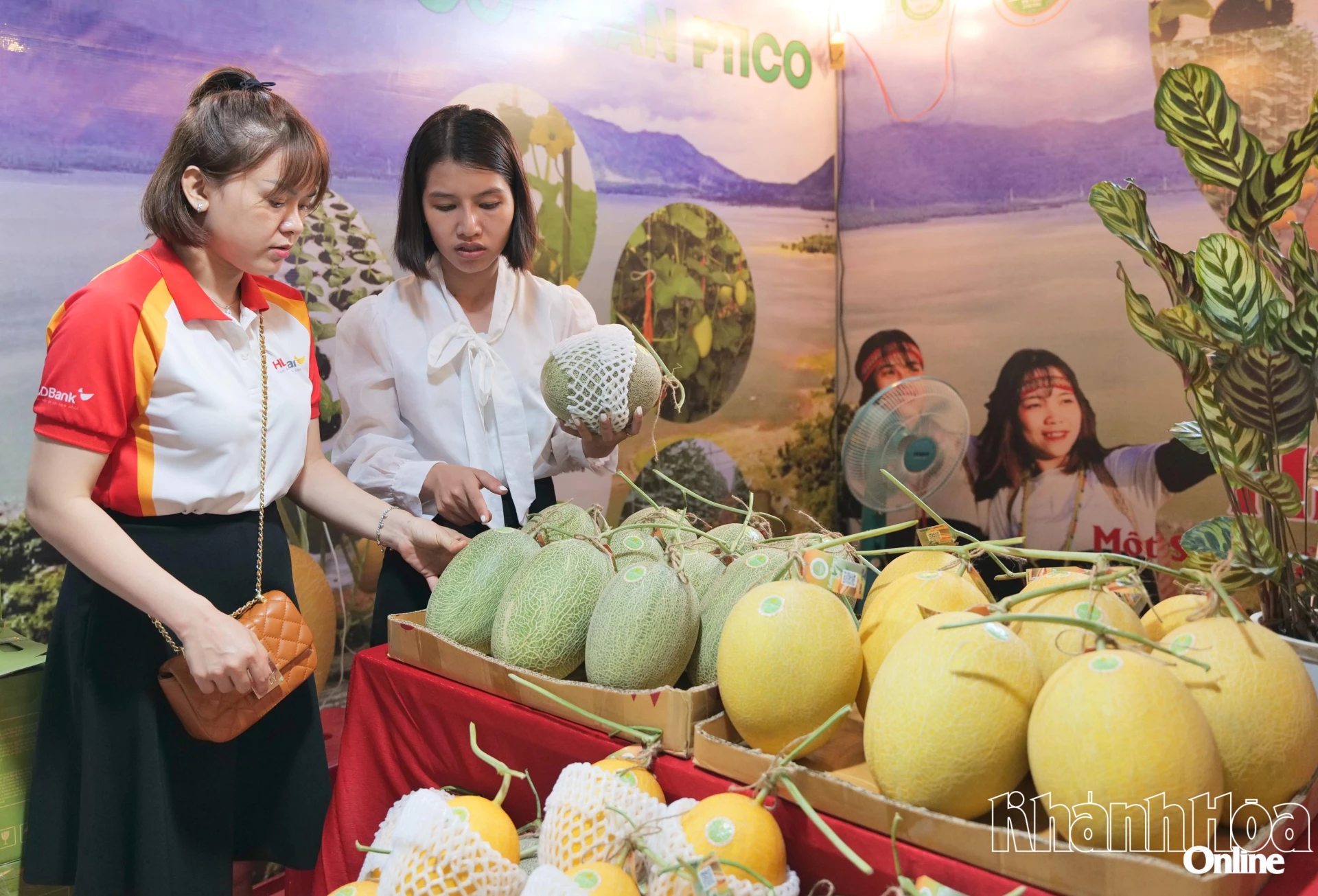  Sản phẩm dưa lưới trồng trong nhà màng ứng dụng công nghệ cao tại xã Bác Ái.