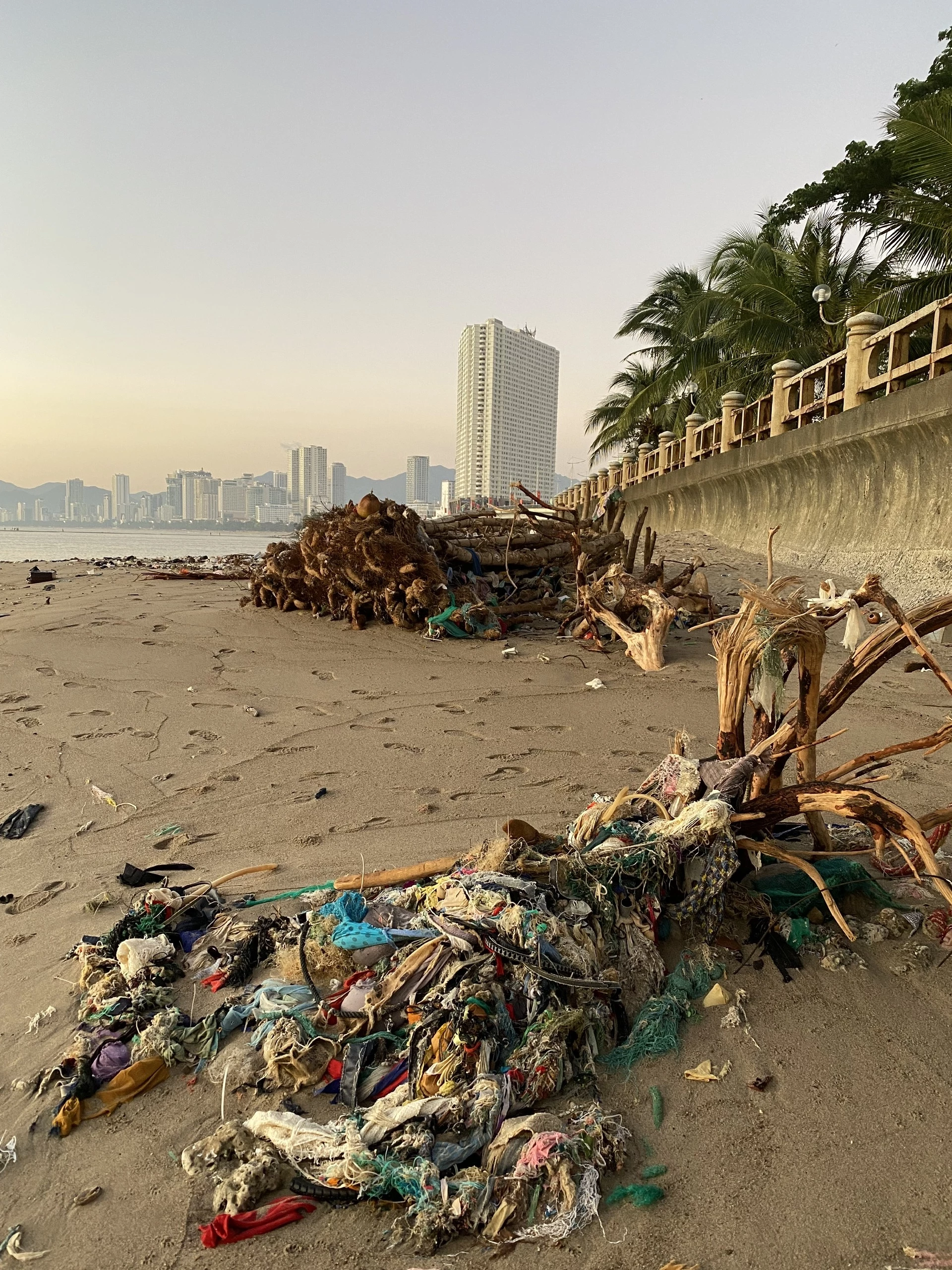 Ảnh chụp ngày 15-1-2026.