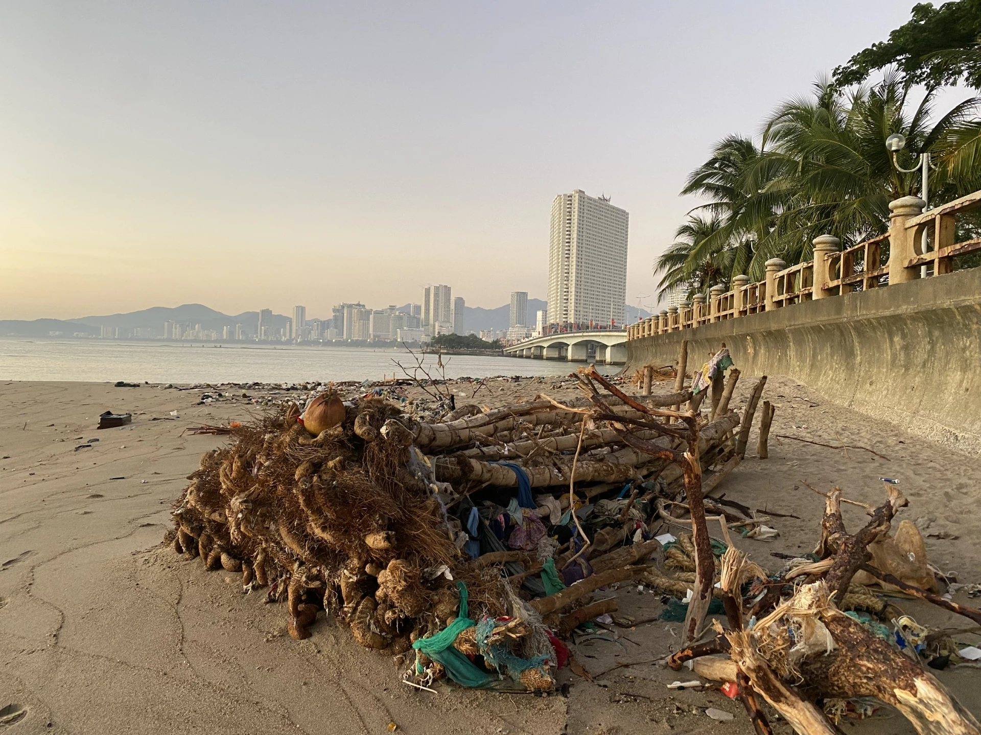 Ảnh chụp ngày 15-1-2026.