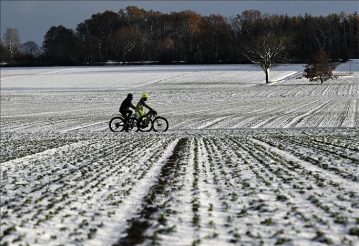 Đức tê liệt vì bão, tuyết và băng giá ngay đầu năm mới