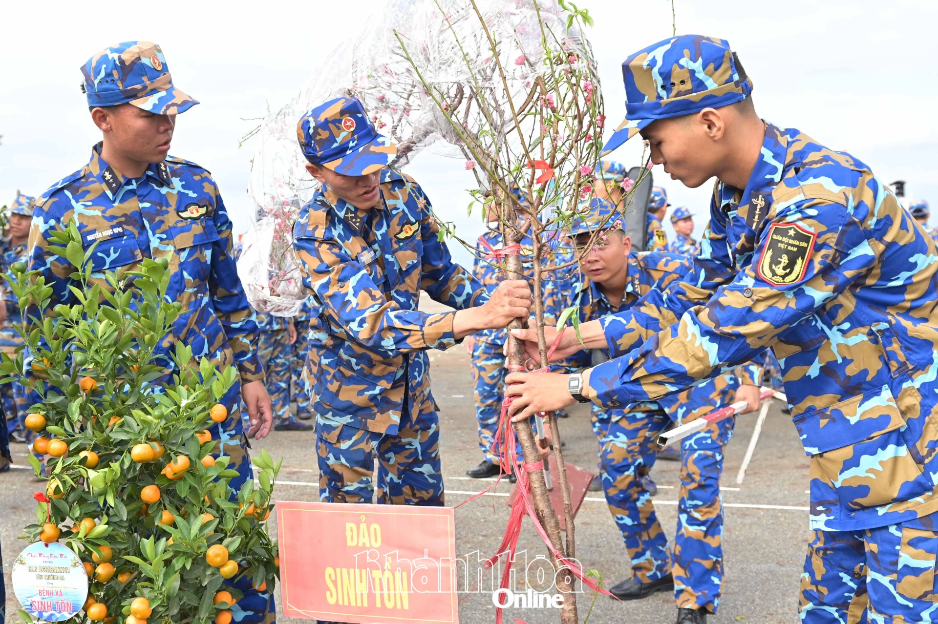 Những cành đào, cành quất được gói, bọc kỹ lưỡng trước khi đưa lên tàu.