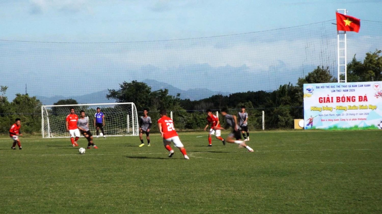 Các đội tham gia thi đấu tại giải.