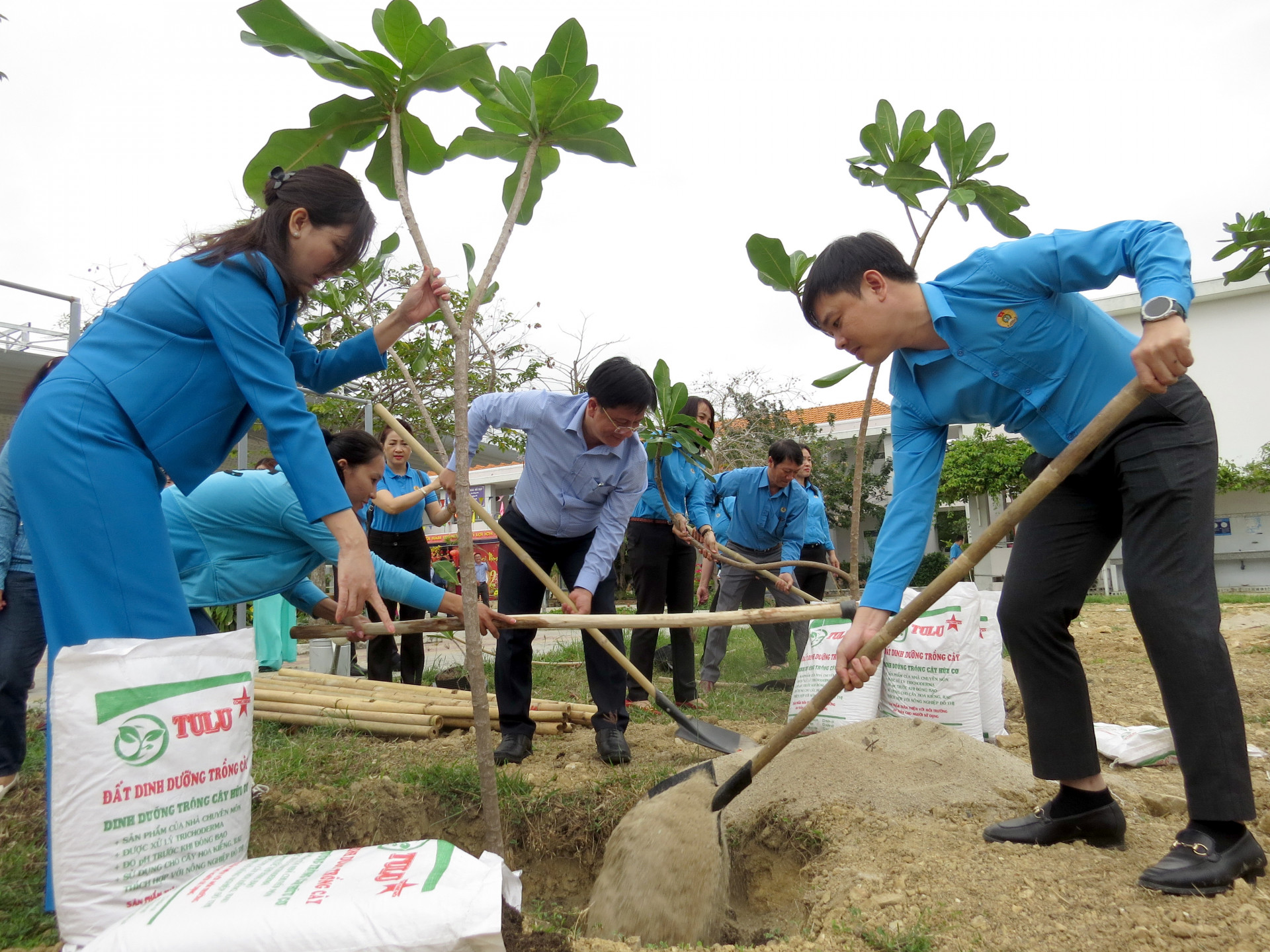 Các đại biểu trồng cây sau lễ hưởng ứng.