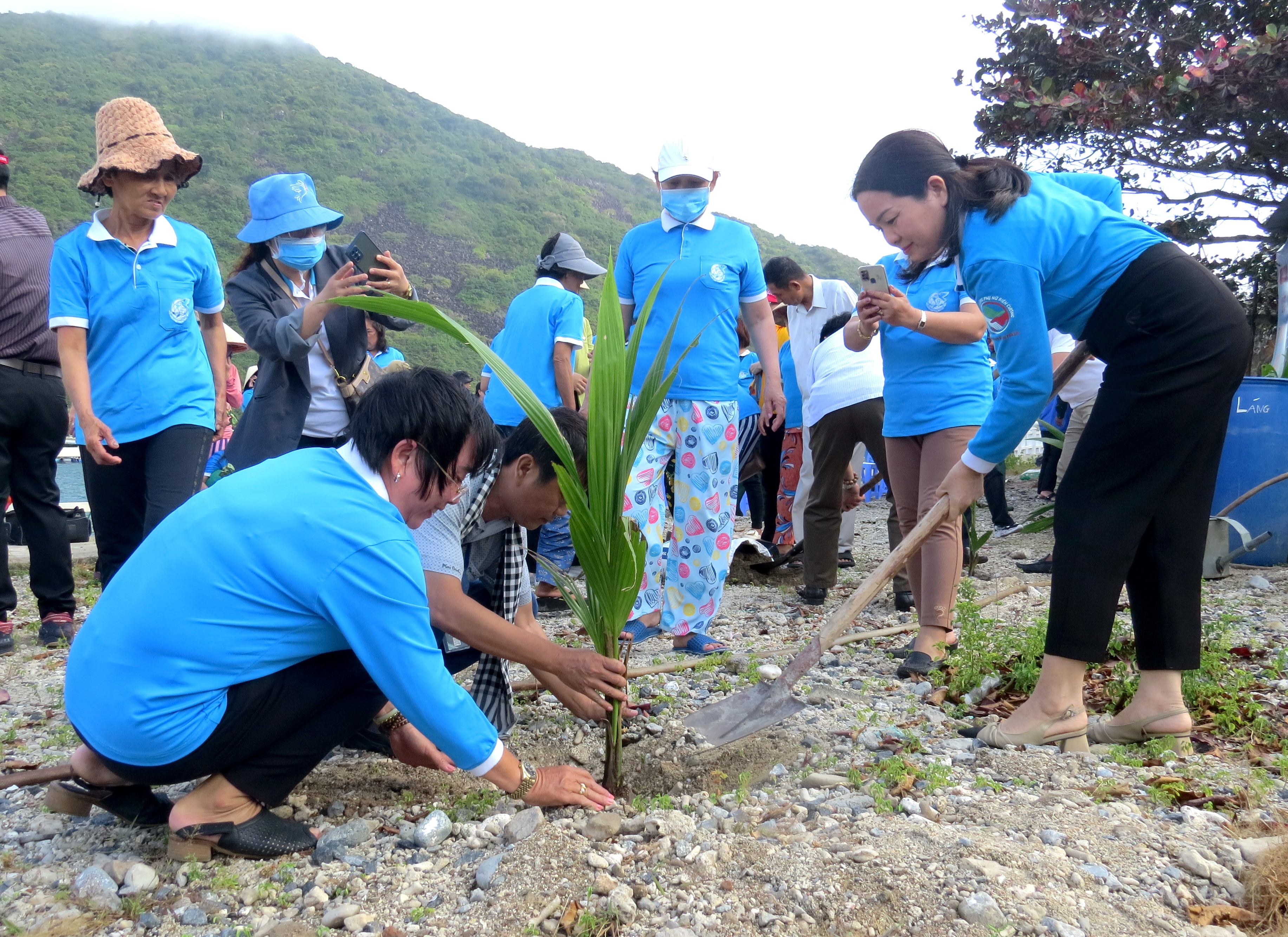 Trồng 300 cây xanh trên đảo Bích Đầm