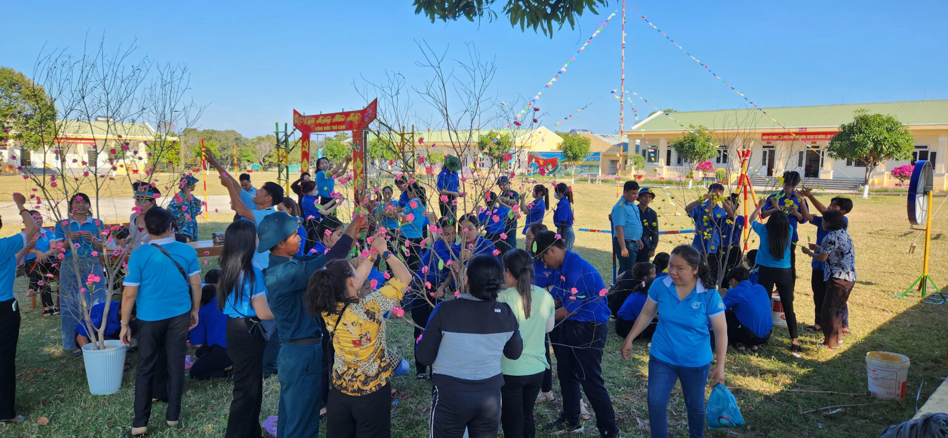 Cùng nhau thi trang trí cây mai, cây đào ngày Tết.