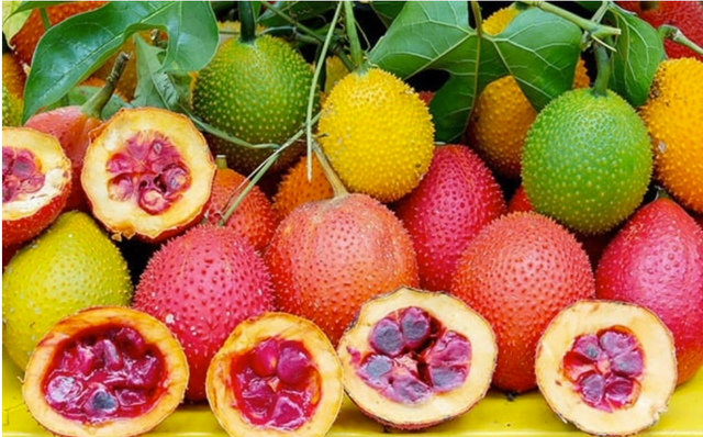 Công dụng tuyệt vời của loại quả ‘đến từ thiên đường’, nhà nhà sử dụng làm món ngon trong ngày Tết