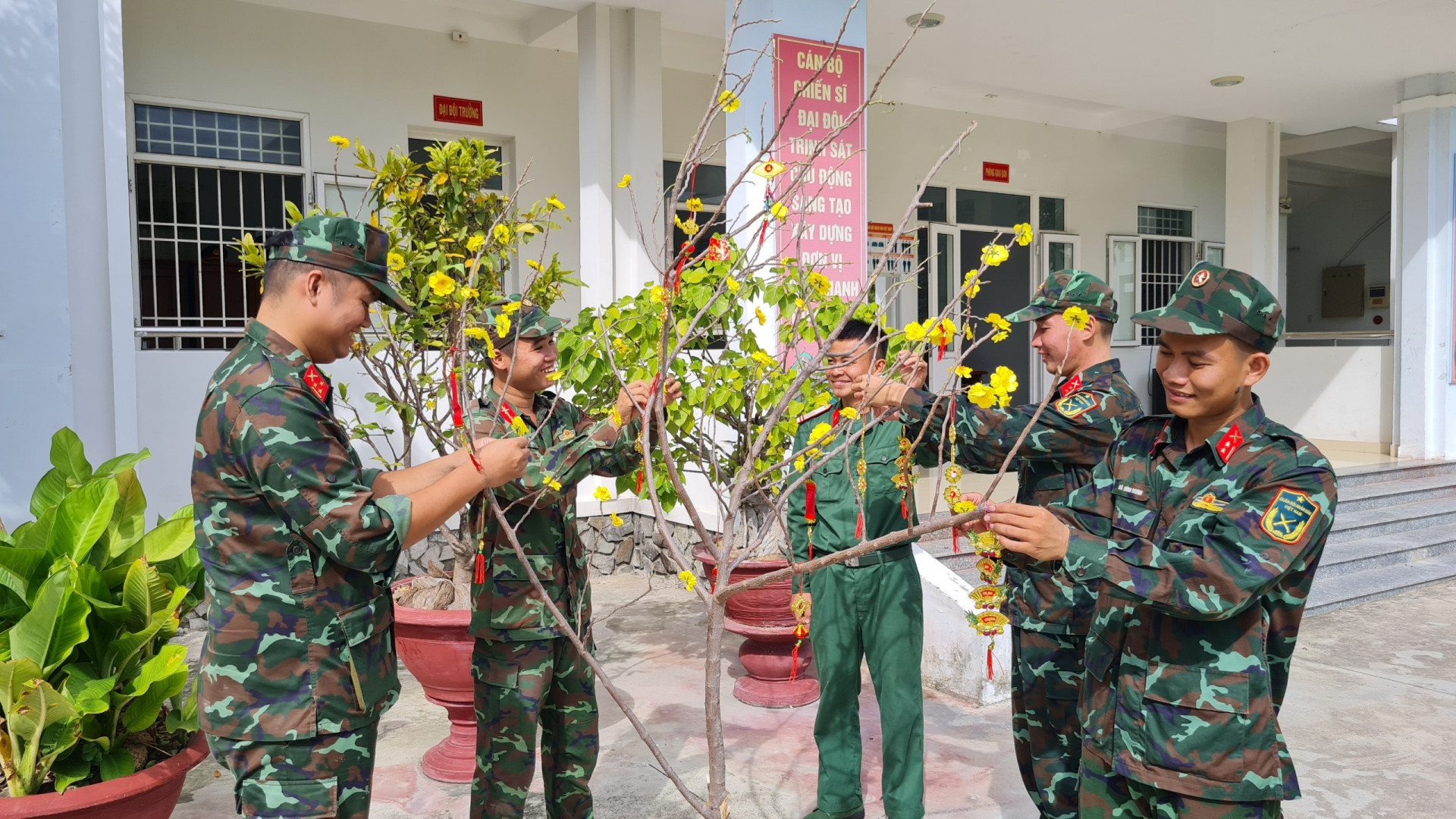 Cán bộ, chiến sĩ chuẩn bị cành mai Tết.
