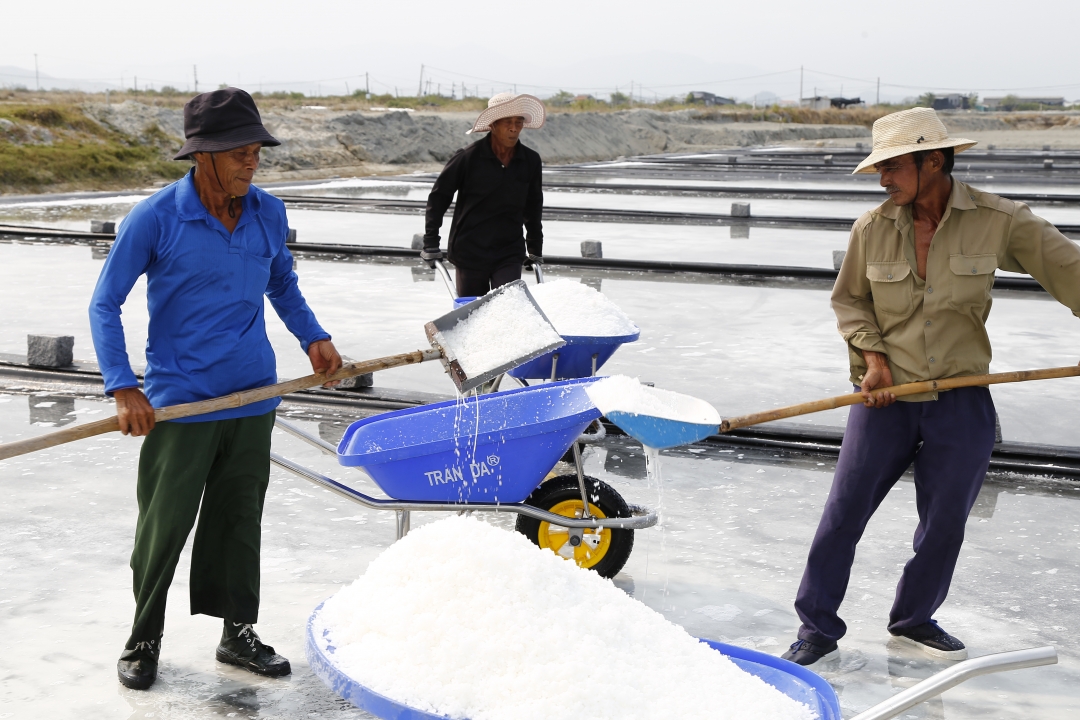 Producing clean salt in Ninh Diem