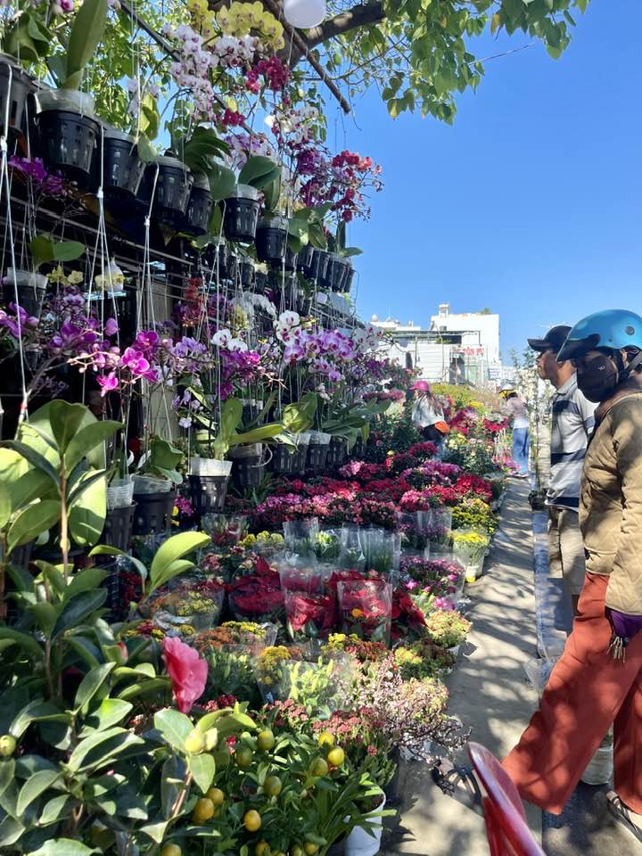 Pots of marigolds and chrysanthemums displayed in front of Lotte Mart Nha Trang

