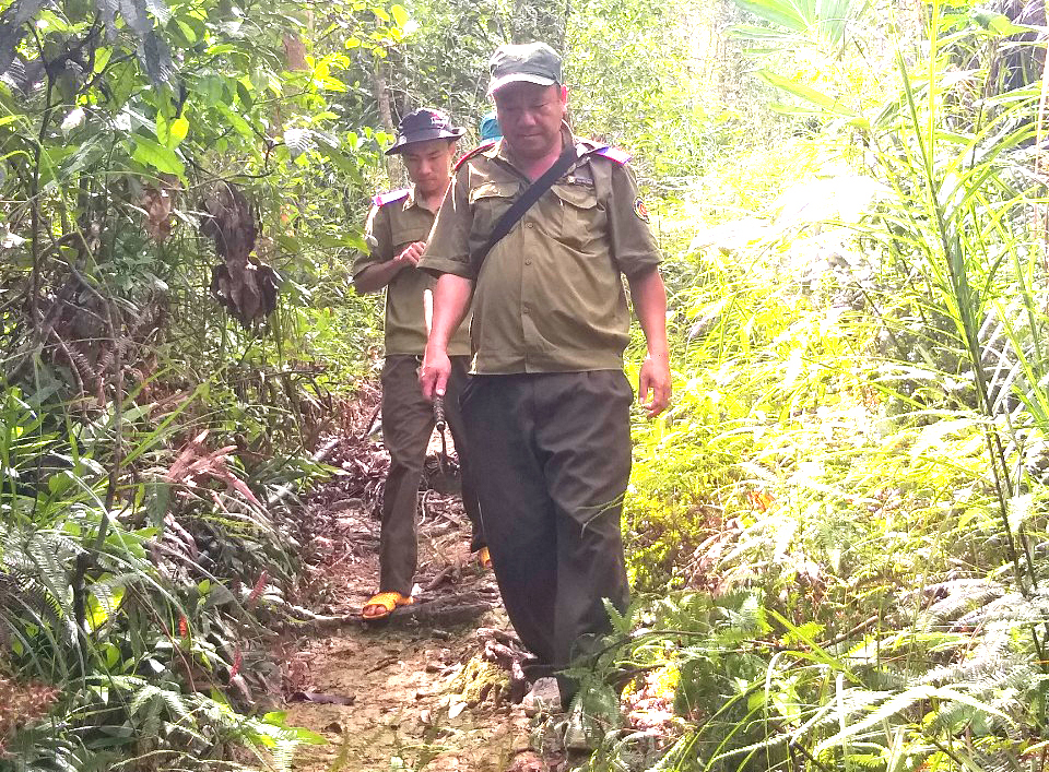 Khánh Sơn: Chủ động phòng, chống cháy rừng
