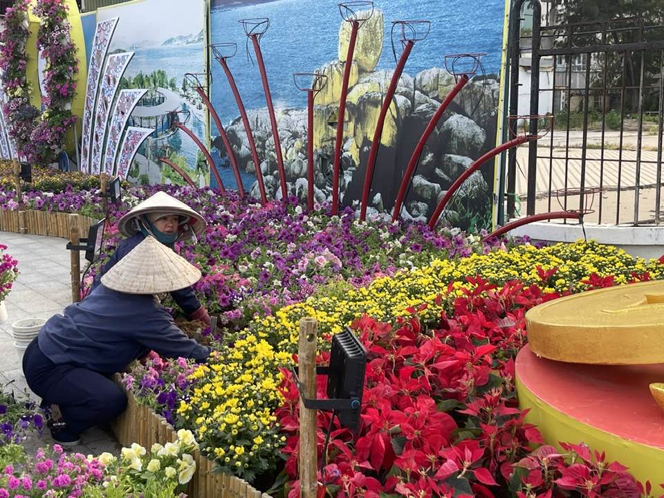 Công nhân Công ty Cổ phần Môi trường đô thị Nha Trang trang trí các bồn hoa trên đường Trần Phú…
