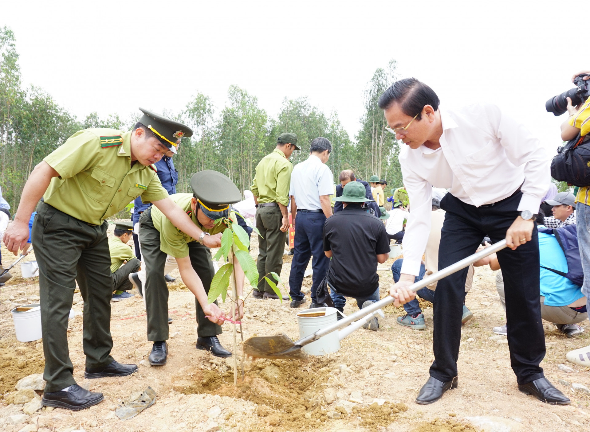 Ông Trần Mạnh Dũng - Phó Chủ tịch Thường trực HĐND tỉnh trồng cây xanh