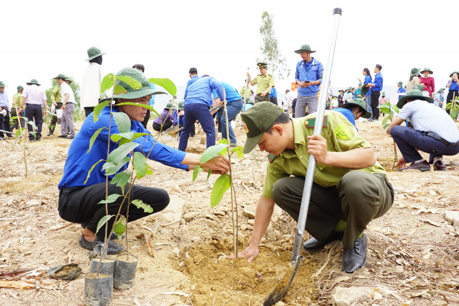 Đoàn viên thanh niên và lực lượng kiểm lâm trồng cây xanh