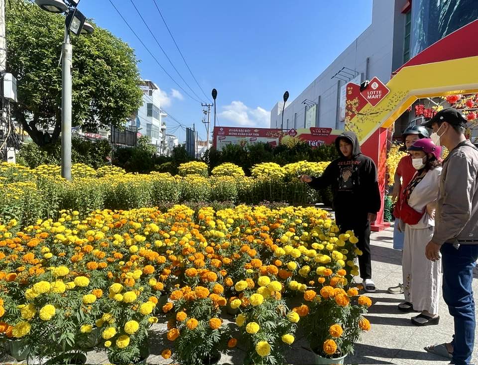 Khách chọn hoa tại một điểm bán hoa trước Siêu thị Lotte Mart Nha Trang

