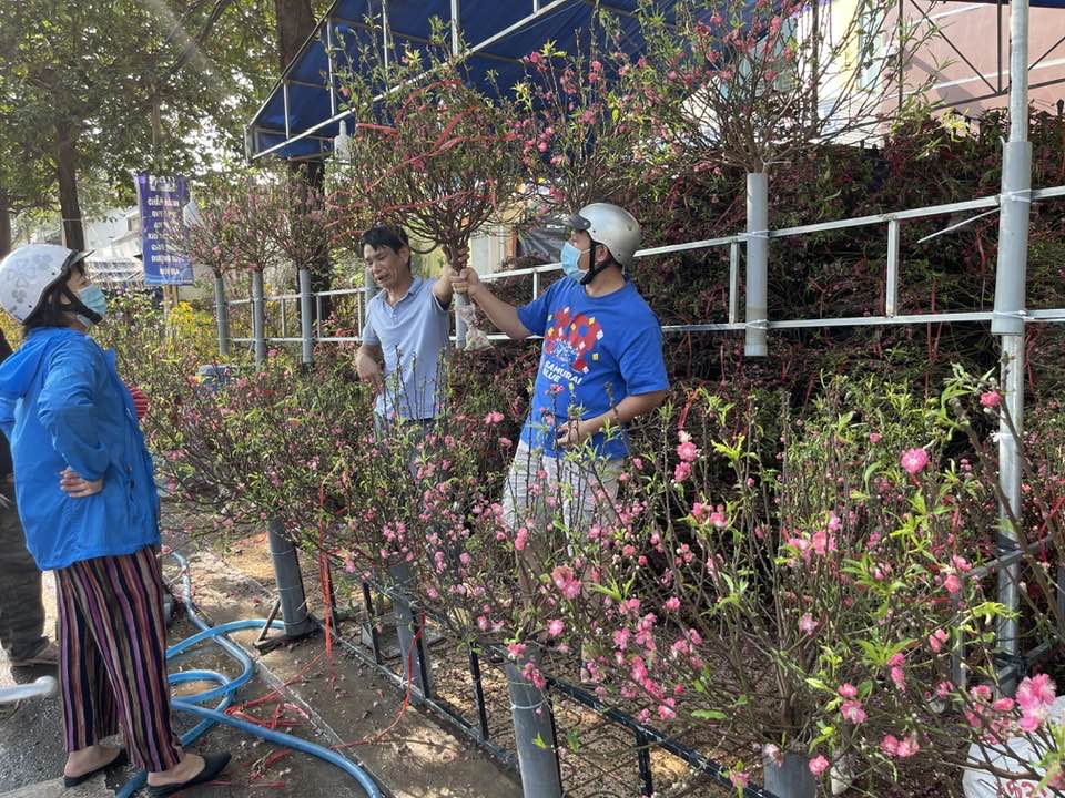 Nhat Tan peach blossoms sold on Le Thanh Ton street
