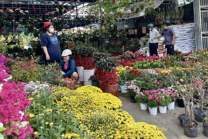 Một nhà vườn trên đường 23-10 bày bán nhiều loại hoa sặc sỡ
