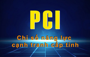 Tiếp tục cải thiện, nâng hạng chỉ số năng lực cạnh tranh cấp tỉnh 