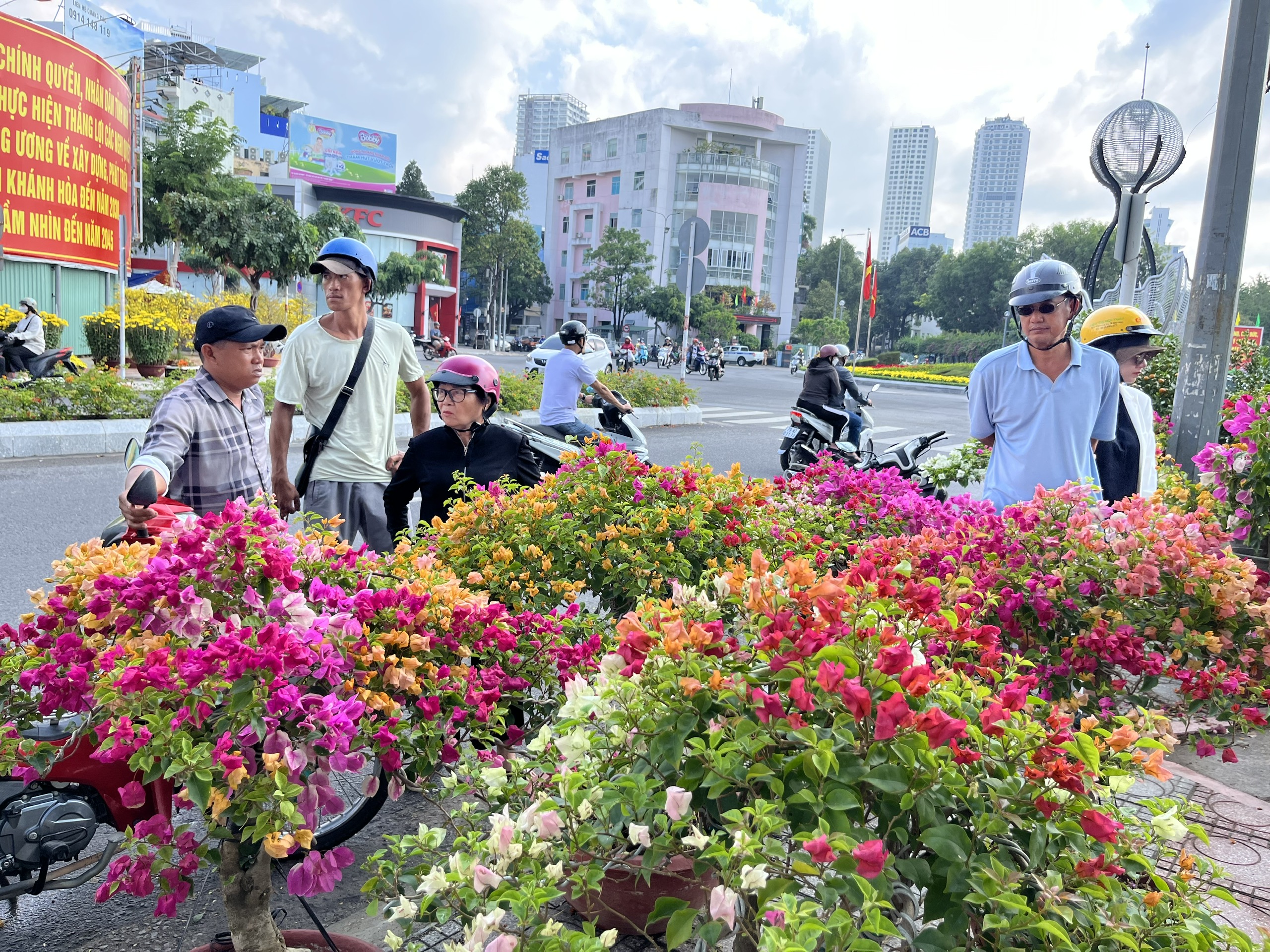 Hoa Tết đồng loạt giảm giá