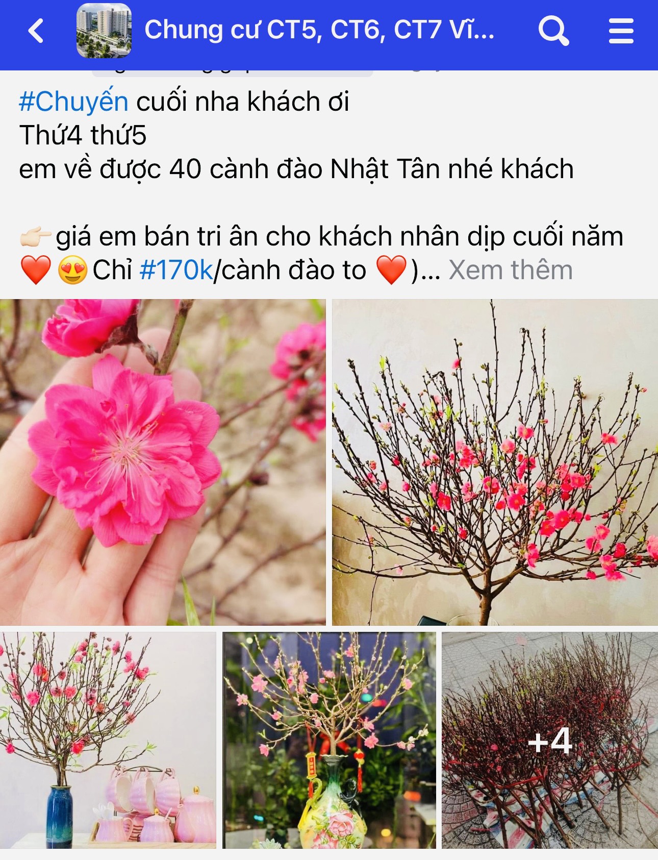 Trên các trang mạng xã hội các loại hoa chưng Tết được bán rất phong phú.