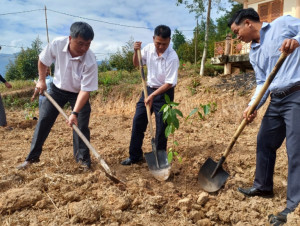 Nông dân sẽ trồng 40.000 cây xanh trên toàn tỉnh Khánh Hòa