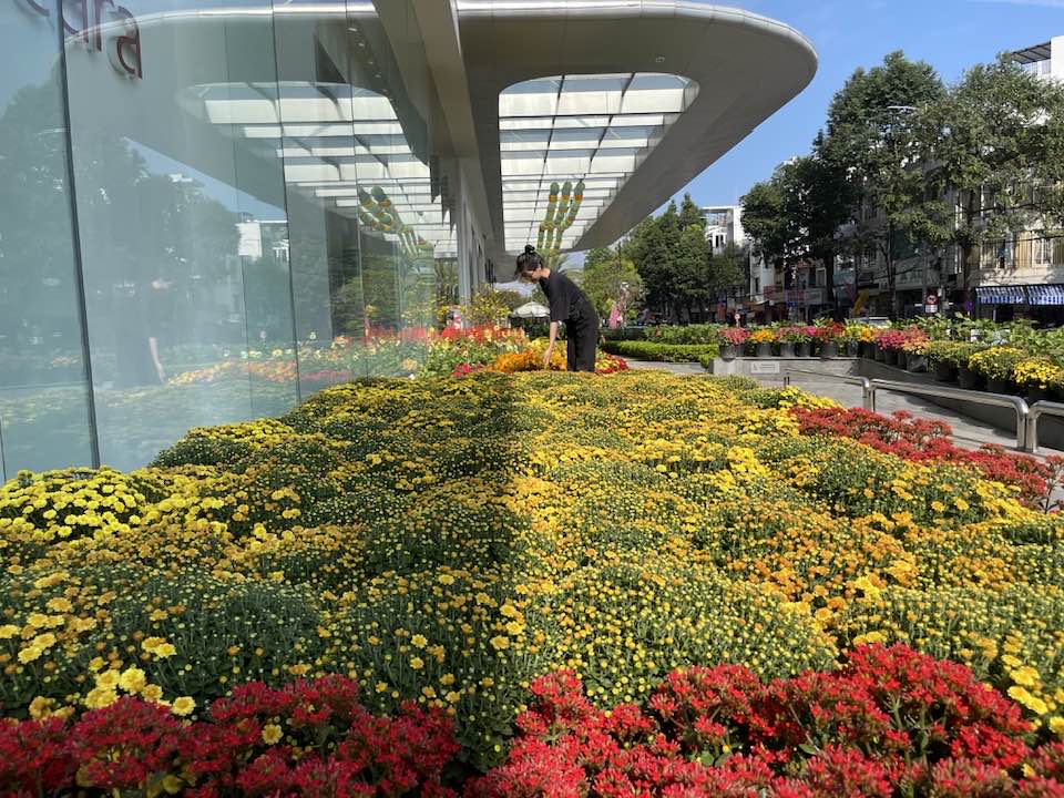 Small pots of flowers in front of Vincom Plaza Le Thanh Ton
