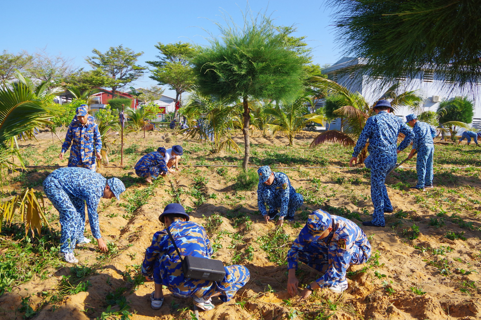 Các đoàn viên, thanh niên tham gia trồng cây.