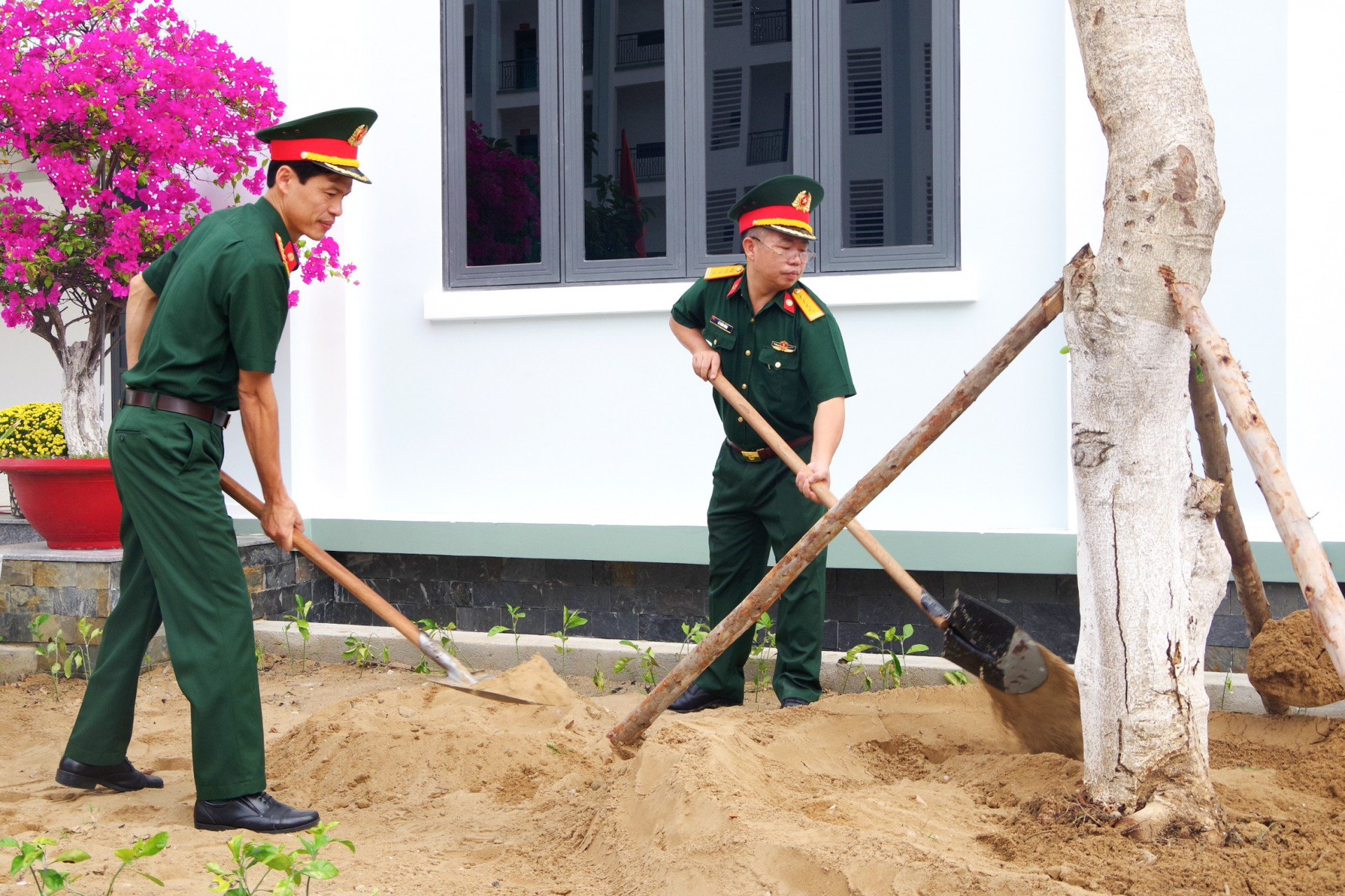 Thủ trưởng nhà trường tham gia trồng cây.