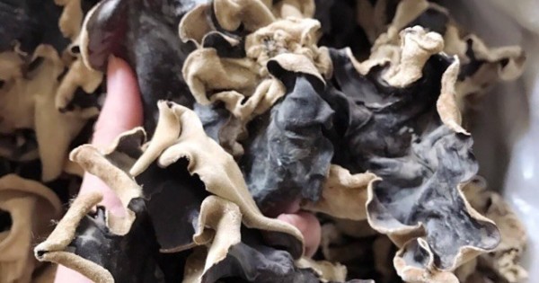 3 sai lầm phổ biến khi sử dụng mộc nhĩ