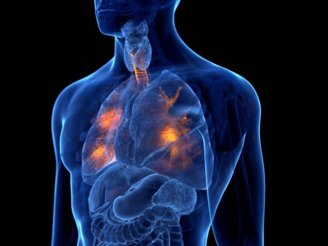 (Ảnh: Getty images)