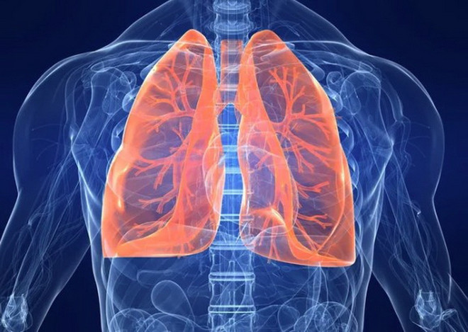 (Ảnh: Getty images)