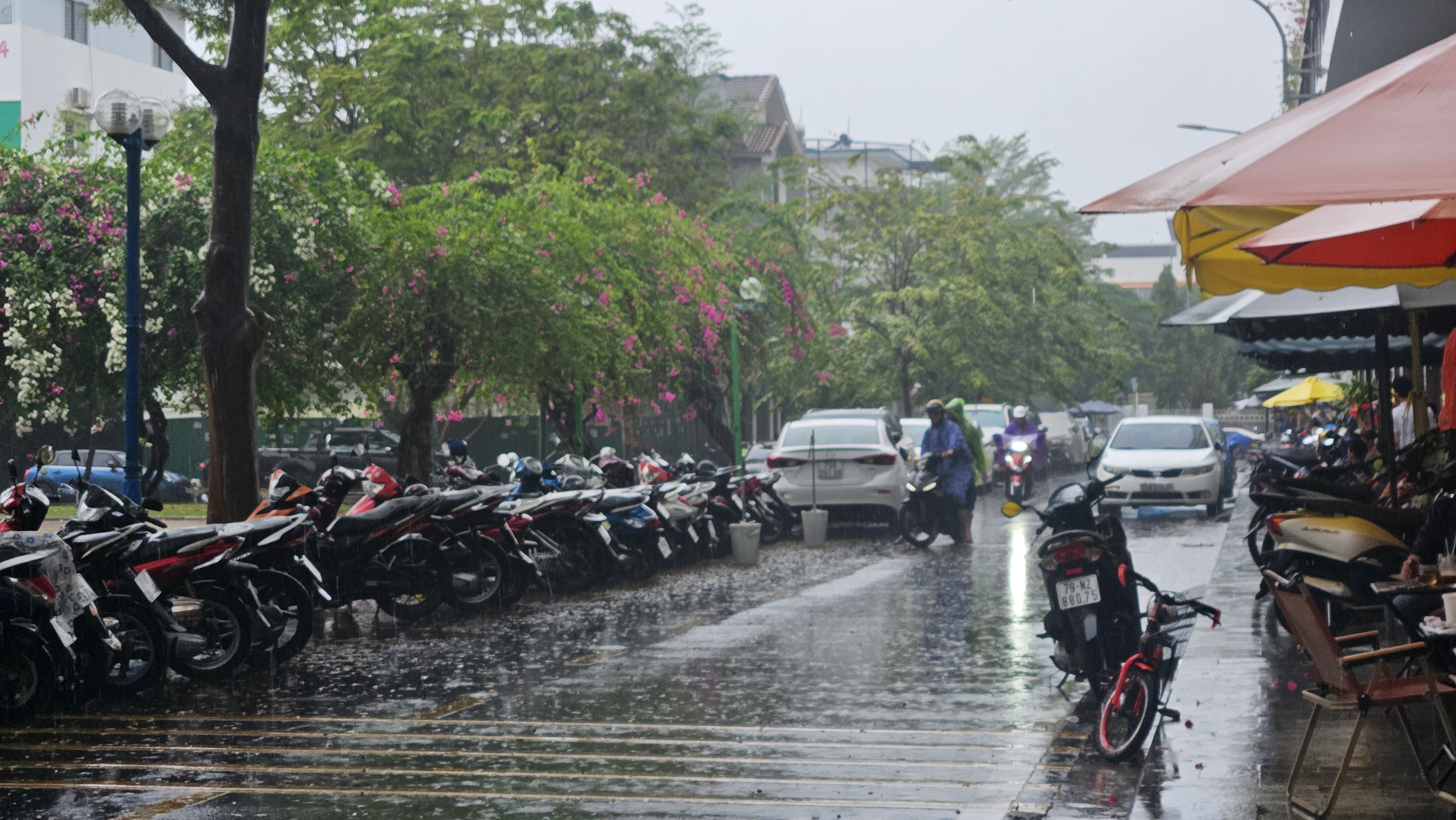 Cảnh báo dông, sét, mưa lớn cục bộ 
