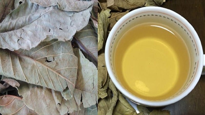 Trà lá ổi là một thức uống được nhiều người ưa thích.