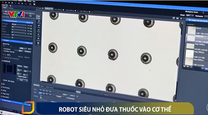 Robot siêu nhỏ đưa thuốc vào cơ thể