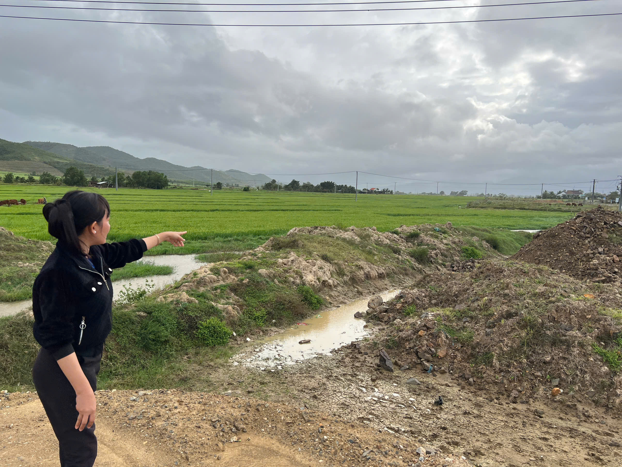 Kiến nghị về việc thu hồi đất của một hộ dân ở xã Ninh Thượng: Cơ quan chức năng đang xem xét phương án giải quyết